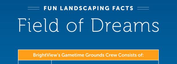 Mlb At Field Of Dreams 2022 Brightview